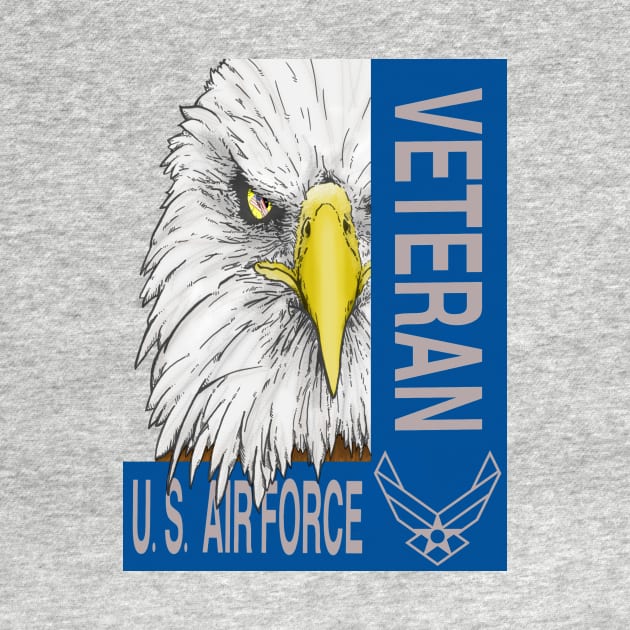 Veteran - US Air Force by JeffWittyArt